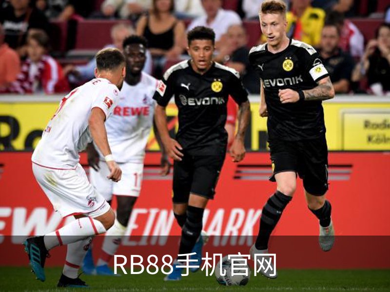 RB88手机官网概况